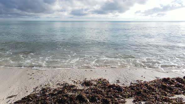Zanzibar Tanzania  Aerial View of the Indian Ocean alt