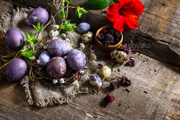 Easter egg dye purple. Homemade eggs are painted with natural egg dye ...