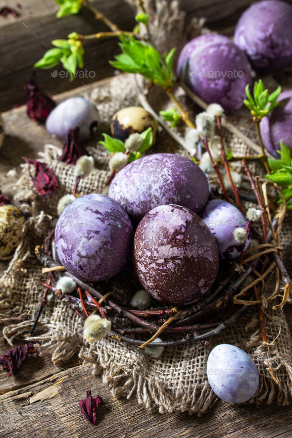 Easter egg dye purple. Homemade eggs are painted with natural egg dye