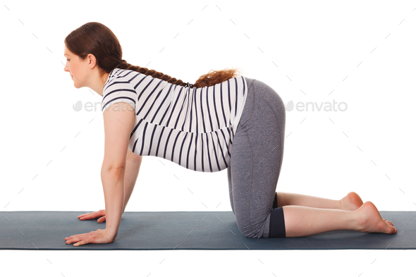 Cow Pose Yoga Vector Images (over 190)
