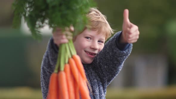 Happy young boy with bunch of fresh carrots