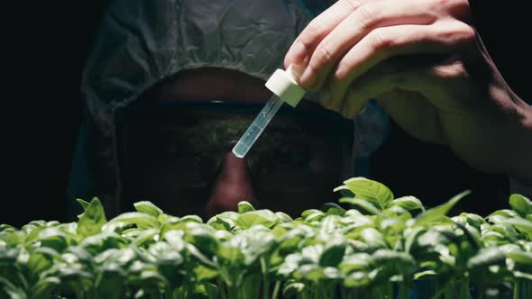 Biologist is Dropping Liquid Chemical on Plants alt