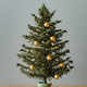 Christmas tree 3d rendering - PhotoDune Item for Sale