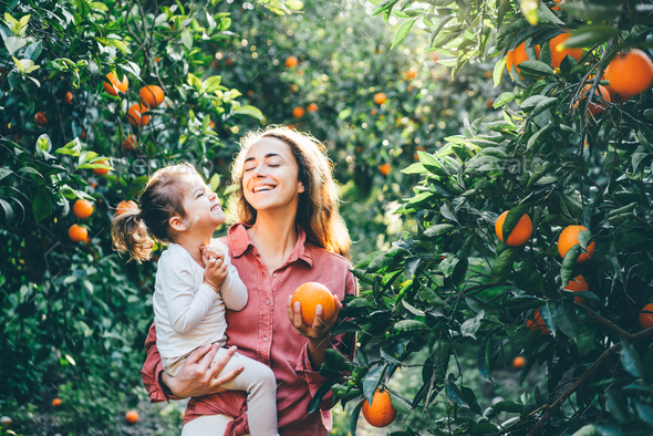 Baby picks a fresh orange from a green tree in sunny day. Stock Photo ...