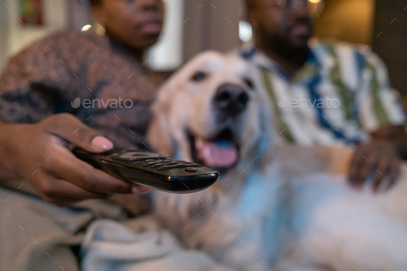 Family with dog watching TV