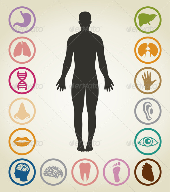 Bodies of the person - People Characters