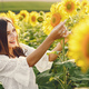 Brunette woman in white costume walking in sunflower field - PhotoDune Item for Sale