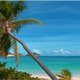 Tropical Palm Beach 3 - VideoHive Item for Sale