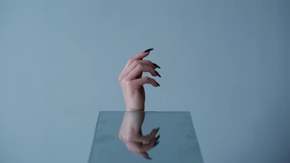 Black Manicure Nail Design Woman Hand Fingernails alt