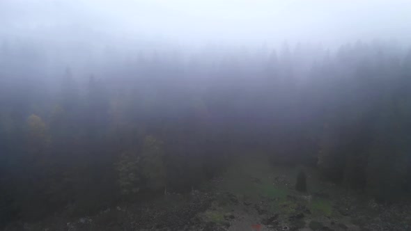 Flying over a misty autumn forest alt