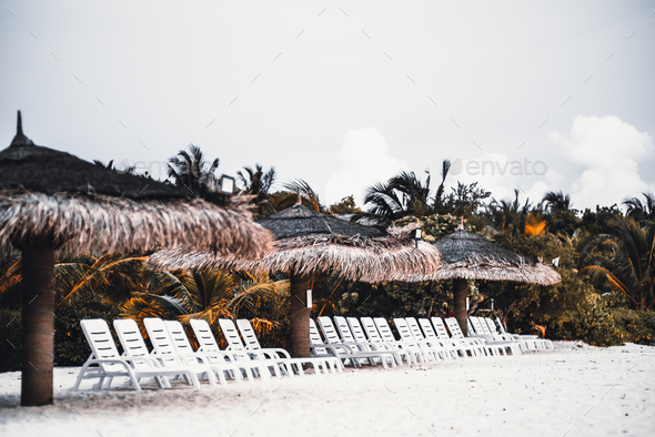 Multiple chaise-longues on the beach with sunshades