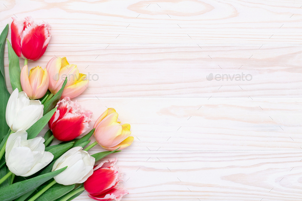 Happy birthday frame border, bouquet of tulips on a white wooden background,