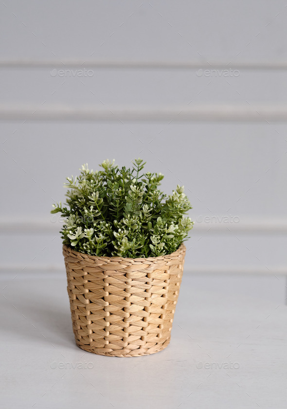 ake artificial plant in a pot, thyme - Stock Photo - Images