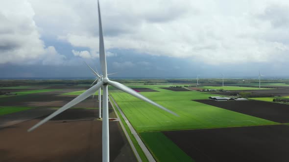 Wind turbines in bulb fields, Zeewolde, Netherlands