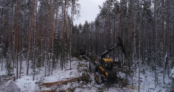Aerial view of Forest Forwarder stacks tree logs in the winter forest 32 alt