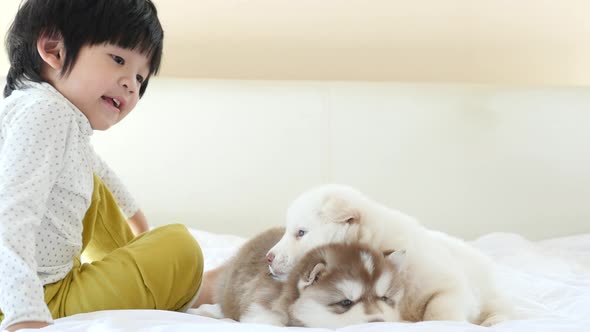 Cute Asian Child Playing With Puppy On A Bed