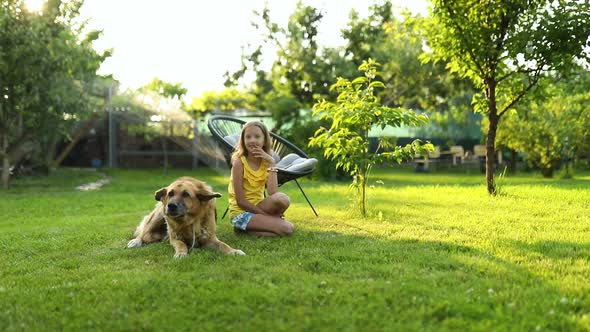 Cute girl and old dog enjoy summer day on the grass in the park