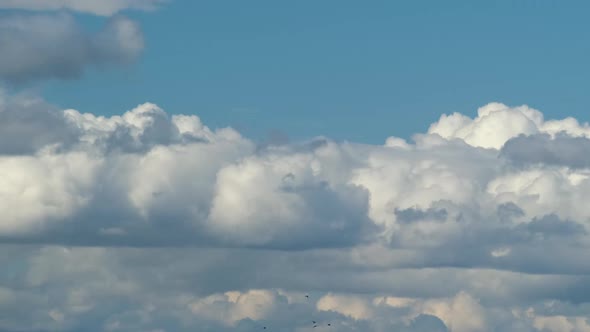 Time Lapse Footage of Fast Moving White Puffy Cumulus Clouds on Blue Clear Sky alt