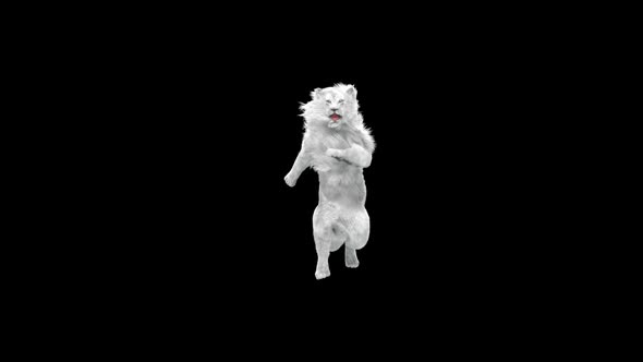 White Lion Dancing HD alt