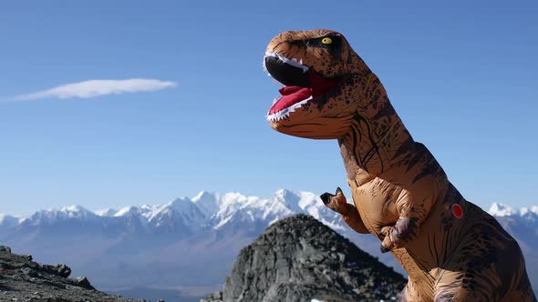 Huge Dinosaur Doll Tyrannosaurus Rex with Person Inside in Mountain Waves Hands.