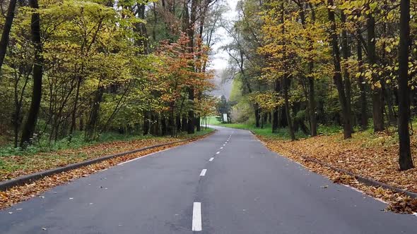 A Slow POV Walk Along a Park Asphalt Alley in Early Fall