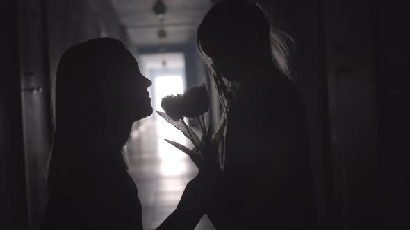 Silhouettes of Girl Giving Flowers to Mom in Hallway