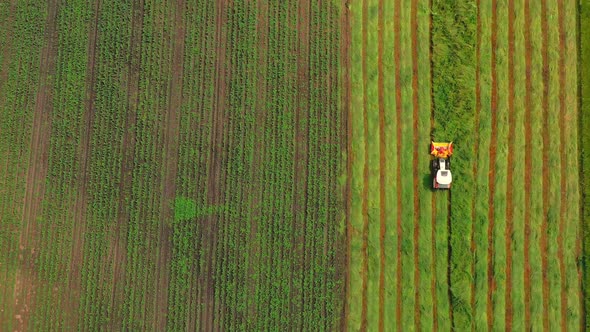 Aerial Topdown View of a Tractor Cutting Grain Moving on Beautiful Fresh Green Field