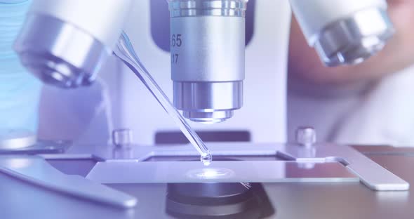 Laboratory Assistant Drips the Solution for Further Examination Under the Microscope alt