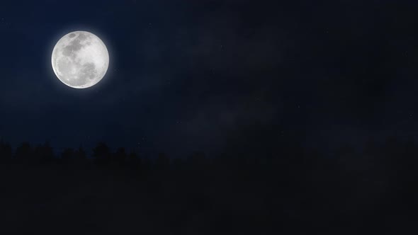 Dark Night Sky With Full Moon And Stars Above Forest Silhouette.