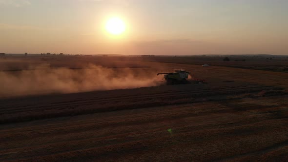 Harvest during summer sunset from the fields. Single combine harvesting wheat. Aerial drone view.