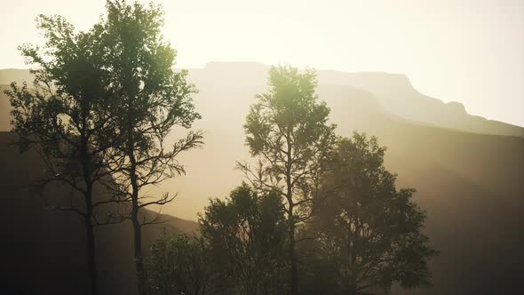 Beautiful Rocks with Few Trees at the Daylight in Nepal alt