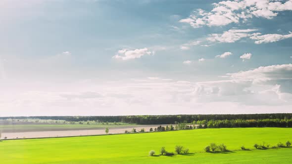 Countryside Rural Field Landscape With Young Wheat Sprouts In Spring Summer Cloudy Day. Agricultural alt
