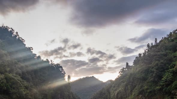 Evening Sky Clouds and Sunbeam Light over Primeval Forest in New Zealand Wild Nature alt