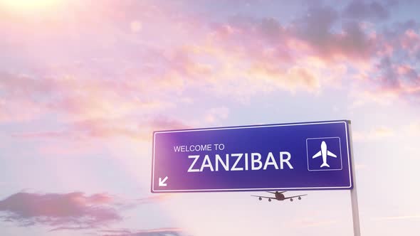 Zanzibar City Sign Plane Landing in Daylight alt