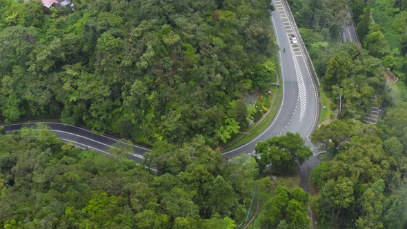 Curve road in Cameron Highlands