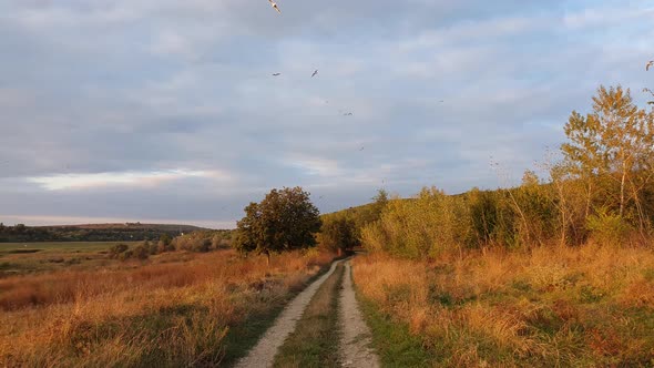 Scenic countryside landscape with rural dirt road across the wilderness