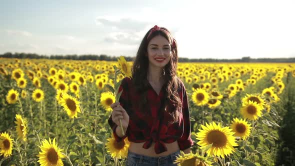 Beautiful Lady Walking in Summer Sunflower Field alt