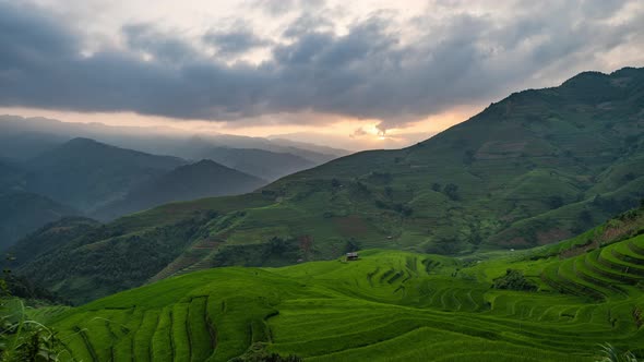 Time lapse of paddy rice terraces, green agricultural fields in Vietnam.