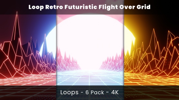 Loop Retro Futuristic Flight Over Grid - Pack 6 alt