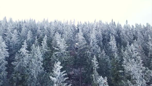 Wood Processing Factory. Aerial shot, Forest Logging Machinery Equipment