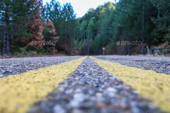 Empty rural street drive to blur forest background. Wallpaper Stock Photo  by rawf8