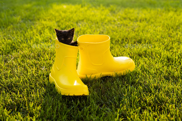 cute yellow boots