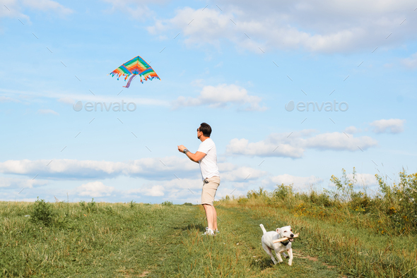 Man launches rainbow colored kite into blue sky, plays with his dog in field outdoors, jack russell