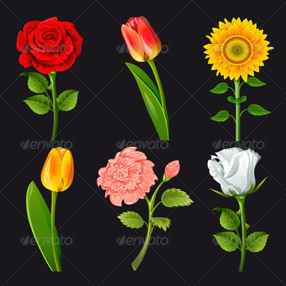 Collection of flowers