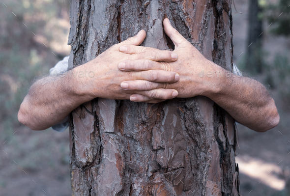 A senior adult man hugging a tree in the wood - love for outdoors and nature - earth\'s day concept