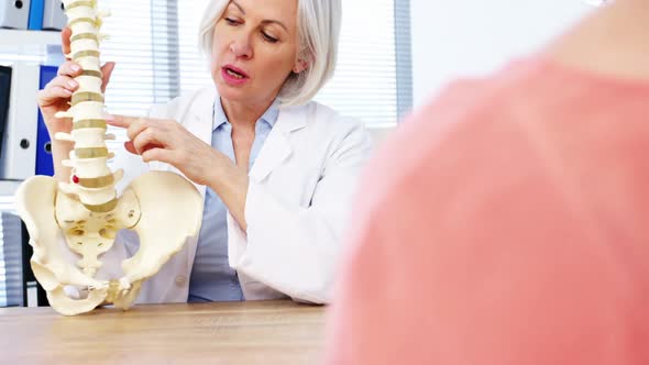 Female explaining the spine to female patient alt