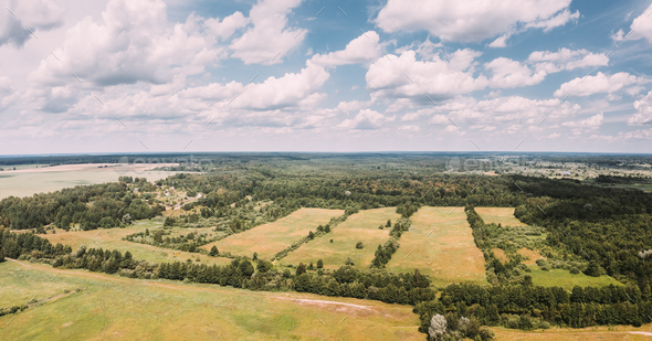 Aerial View Spring Green Field With Windbreaks Landscape. Top View Of Field And Forest Belt. Drone