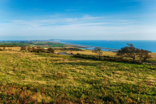 The view from Abbotsbury Hill in Dorset - Stock Photo - Images