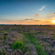 Summer sunset over Winfrith Heath - PhotoDune Item for Sale