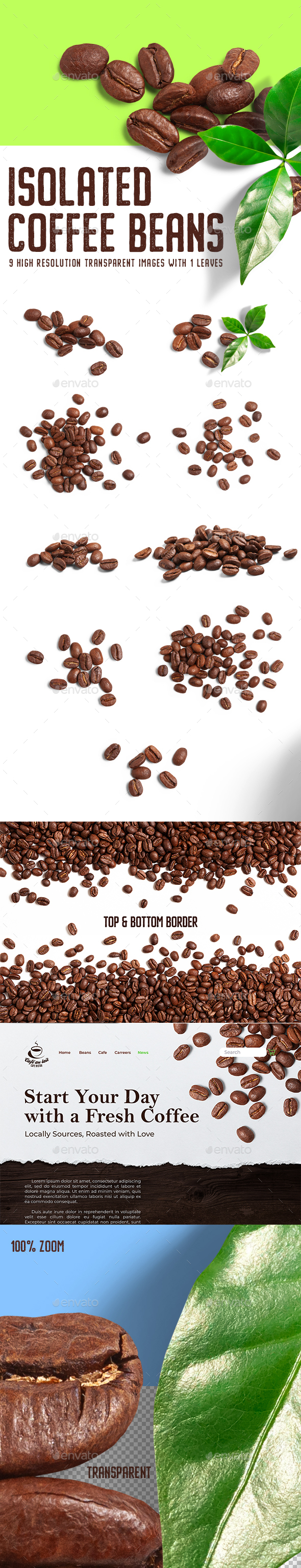 Isolated Coffee Beans
